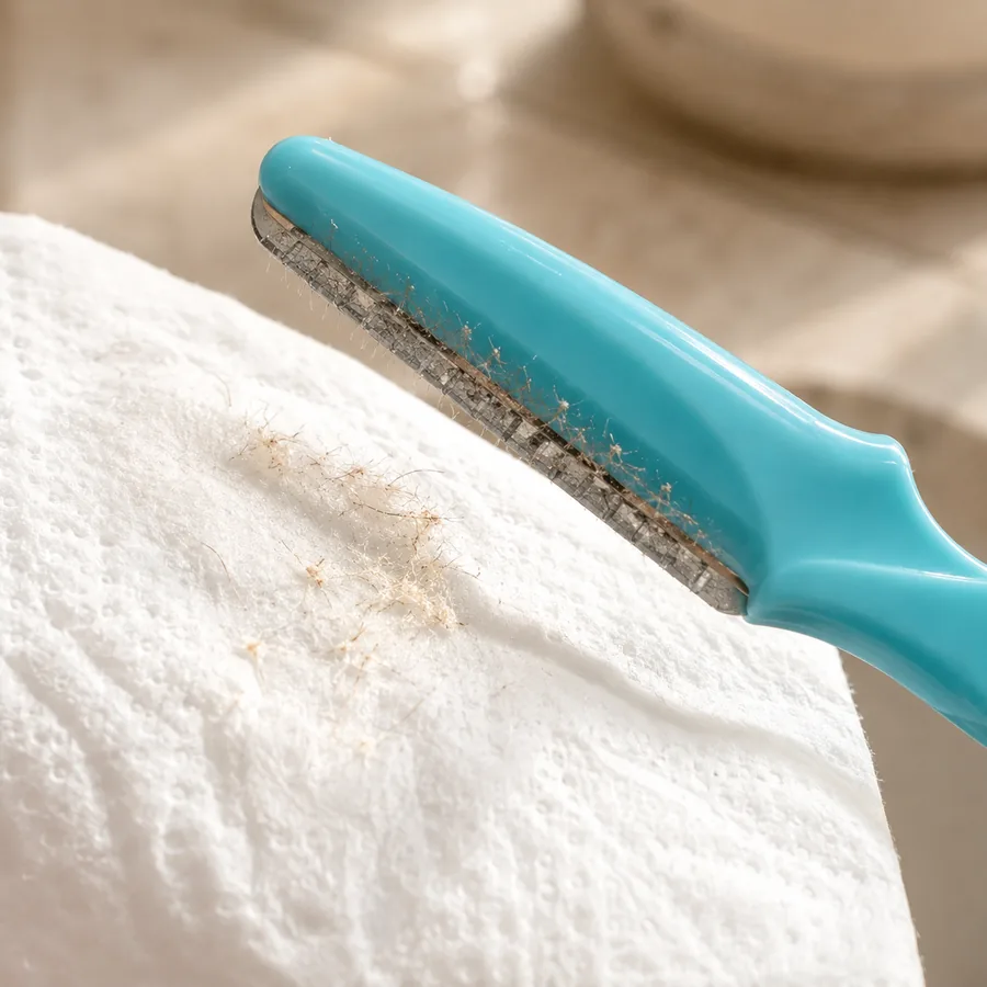Close-up of the guarded blade of a Peachly facial razor